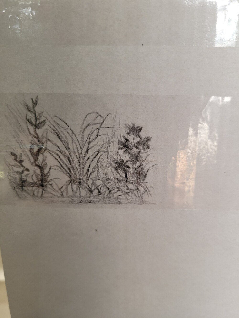 "Box Art" - Picture 4 of 9